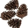 Clayre & Eef Decoratie Set Van 4 Dennenappel 8/10 Cm Bruin Hout Kunstplant Nepbloem Nepplant -Clayre & Eef 1097x1200 1