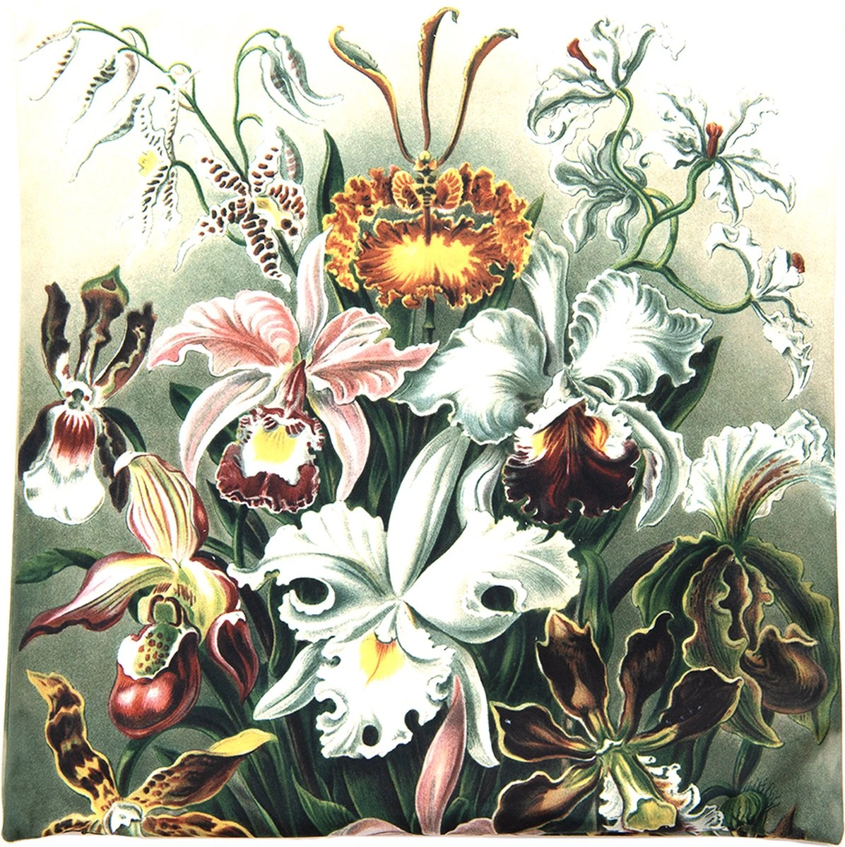 Clayre & Eef Kussenhoes 45x45 Cm Groen Wit Polyester Vierkant Bloemen Sierkussenhoes Kussen 4 Clayre & Eef Kussenhoes 45x45 Cm Groen Wit Polyester Vierkant Bloemen Sierkussenhoes Kussen - Afbeelding 2