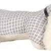 Clayre & Eef Deurstopper Hond 36x15x24 Cm Grijs Polyester Deurklem Deurwig -Clayre & Eef 1200x468