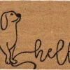 Clayre & Eef Deurmat 75x45 Cm Bruin Zwart Kokosvezel Rubber Rechthoek Hond Hello Kokosmat Mat Schoonloopmat 2 Clayre & Eef Deurmat 75x45 Cm Bruin Zwart Kokosvezel Rubber Rechthoek Hond Hello Kokosmat Mat Schoonloopmat -Clayre & Eef 1200x737 1