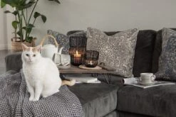 Clayre & Eef Kussenhoes 50x50 Cm Blauw Beige Katoen Vierkant Sierkussenhoes Kussen Hoes -Clayre & Eef 1200x801 54