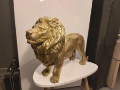 Clayre & Eef Beeld Leeuw 54x16x34 Cm Goudkleurig Polyresin Woonaccessoires Beeld Decoratie Decoratieve Accessoires -Clayre & Eef 1200x900 4