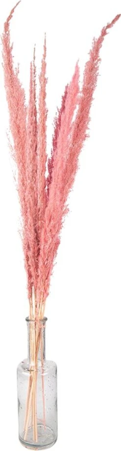 Clayre & Eef Droogbloemen 100 Cm Roze Droogbloemen Droogboeket Droogbloemenboeket -Clayre & Eef 323x1200