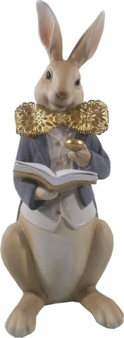 Clayre & Eef Beeld Konijn 15x13x40 Cm Bruin Grijs Polyresin Woonaccessoires Pasen Paashaas 9 Clayre & Eef Beeld Konijn 15x13x40 Cm Bruin Grijs Polyresin Woonaccessoires Pasen Paashaas -Clayre & Eef 444x1200