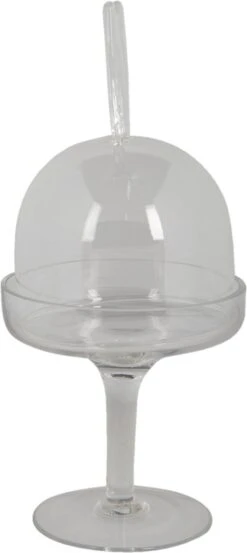 Clayre & Eef Stolp Konijn Ø 11x24 Cm Glas Rond Glazen Stolp 22 Clayre & Eef Stolp Konijn Ø 11x24 Cm Glas Rond Glazen Stolp -Clayre & Eef 536x1200 5