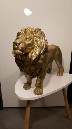 Clayre & Eef Beeld Leeuw 54x16x34 Cm Goudkleurig Polyresin Woonaccessoires Beeld Decoratie Decoratieve Accessoires -Clayre & Eef 671x1200 3