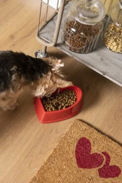 Clayre & Eef Deurmat 75x45 Cm Bruin Kokosvezel Rubber Rechthoek Kat En Hond Kokosmat Mat Schoonloopmat -Clayre & Eef 800x1200 97