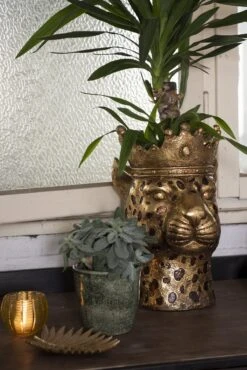 Clayre & Eef Beeld Luipaard 25x31x41 Cm Goudkleurig Kunststof Woonaccessoires Beeld Decoratie Decoratieve Accessoires -Clayre & Eef 801x1200 183