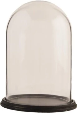 Clayre & Eef Stolp Ø 23x31 Cm Bruin Hout Glas Rond Glazen Stolp -Clayre & Eef 821x1200 1