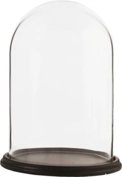 Clayre & Eef Stolp Ø 23x31 Cm Bruin Hout Glas Rond Glazen Stolp