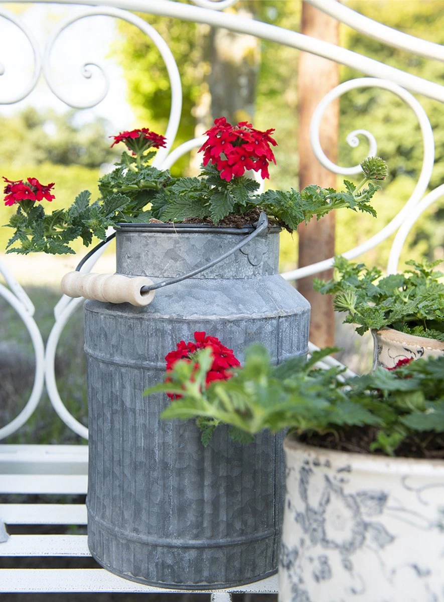 Clayre & Eef Decoratie Melkbus Ø 16x23 Cm Grijs Ijzer Rond Melkkan 7 Clayre & Eef Decoratie Melkbus Ø 16x23 Cm Grijs Ijzer Rond Melkkan - Afbeelding 5