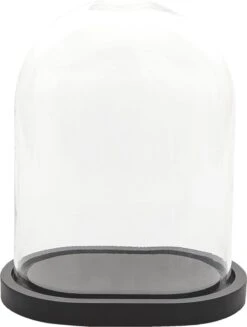 Clayre & Eef Stolp 26x18x33 Cm Zwart Hout Glas Ovaal Glazen Stolp